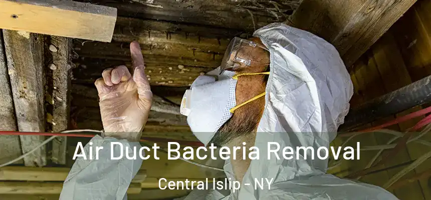  Air Duct Bacteria Removal Central Islip - NY