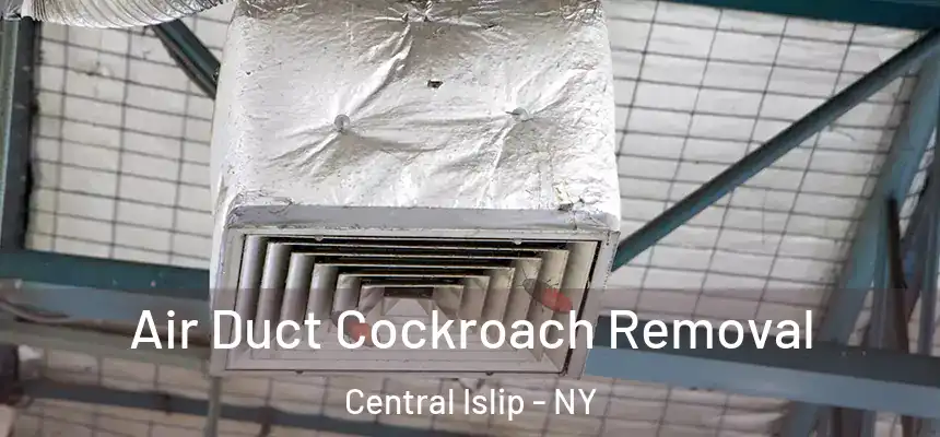 Air Duct Cockroach Removal Central Islip - NY