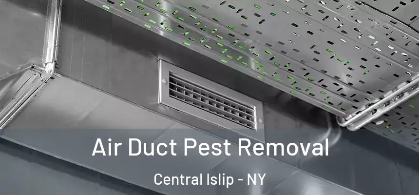 Air Duct Pest Removal Central Islip - NY