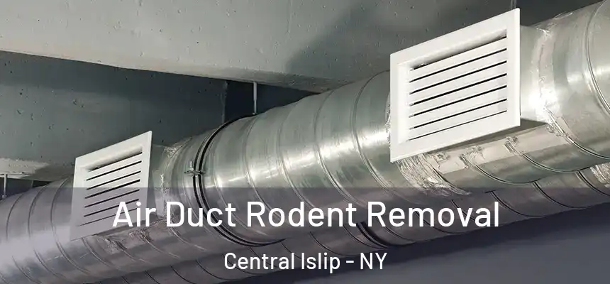 Air Duct Rodent Removal Central Islip - NY