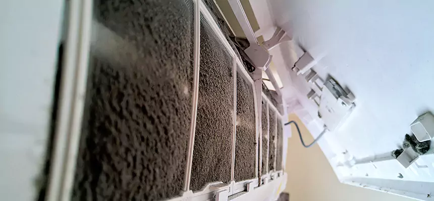 Preventive Air Duct Bacteria Removal in Central Islip