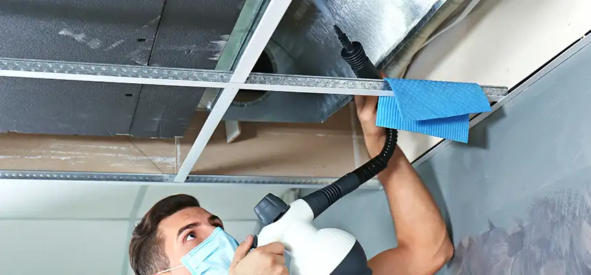 Our Air Duct Rodent Removal Services in Central Islip, NY
