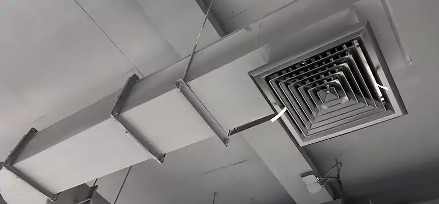 Our Pest Removal From Ducts Services in Central Islip, NY