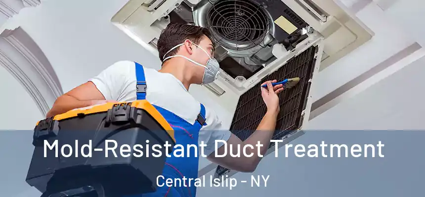 Mold-Resistant Duct Treatment Central Islip - NY