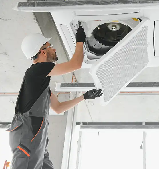 About Air Duct Rodent Removal in Central Islip, NY