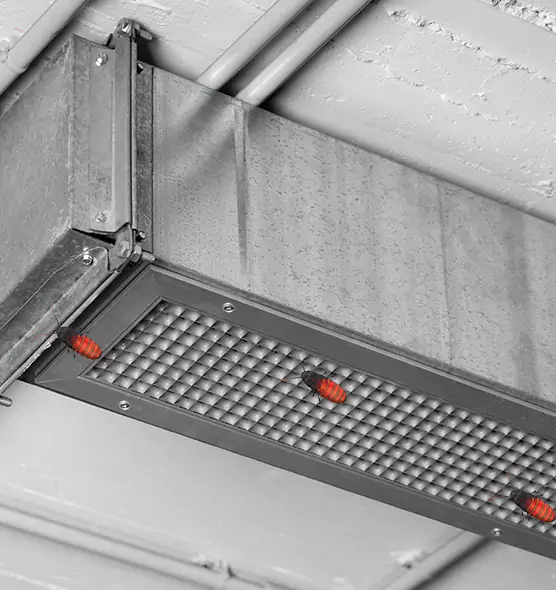 Affordable Insect Removal from Air Ducts in Central Islip, NY