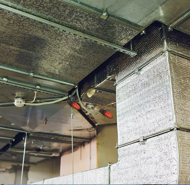 Why Homeowners & Businesses Trust Us in Central Islip, NY?