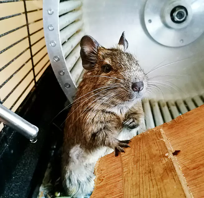 Why Homeowners & Businesses Trust Us Central Islip, NY?