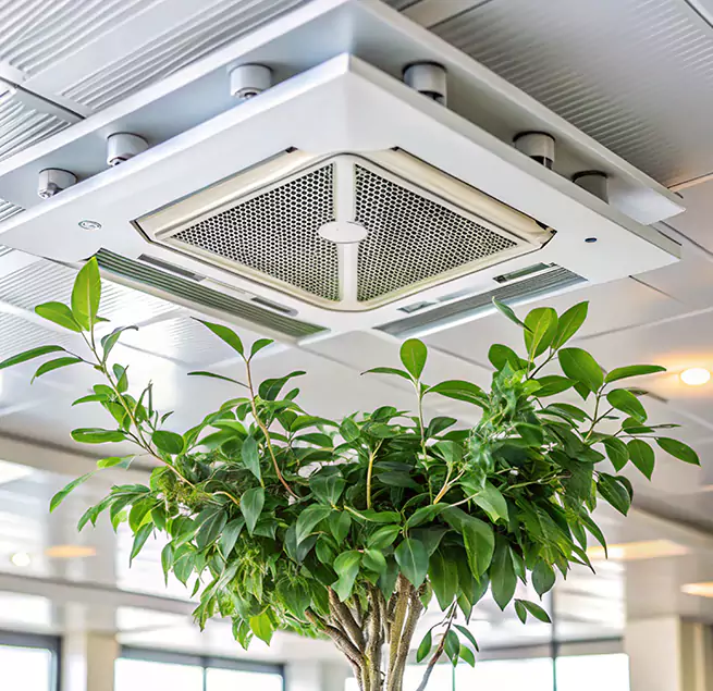 Why Homeowners & Businesses Trust Us in Central Islip, NY?