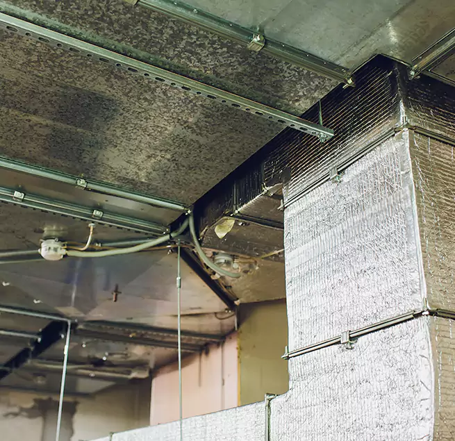 Why Homeowners & Businesses Trust Us in Central Islip, NY?